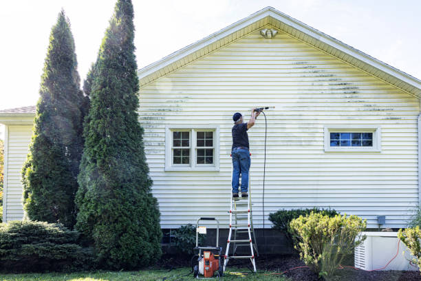 Best Soft Washing for Delicate Surfaces in Chesapeake, WV