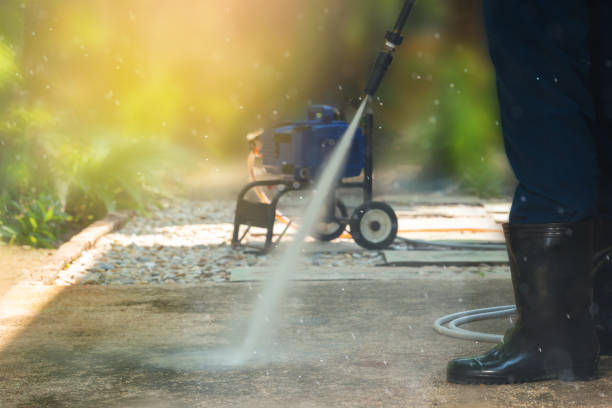 Best Roof Cleaning and Mildew Removal in Chesapeake, WV